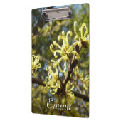 Witch Hazel Flowers Klembord (Links)