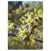 Witch Hazel Flowers Klembord (Achterkant)