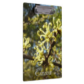 Witch Hazel Flowers Klembord (Rechts)