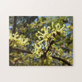 Witch Hazel Flowers Legpuzzel (Horizontaal)