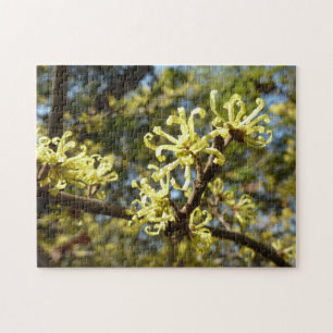 Witch Hazel Flowers Legpuzzel