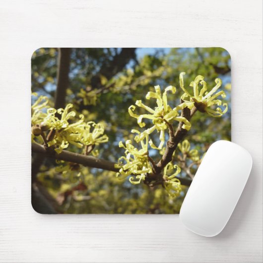 Witch Hazel Flowers Muismat (Met muis)