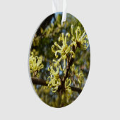 Witch Hazel Flowers Ornament (voorkant)