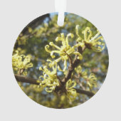 Witch Hazel Flowers Ornament (achterkant)