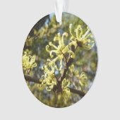 Witch Hazel Flowers Ornament (voorkant)