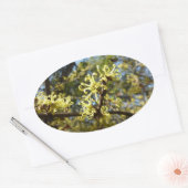 Witch Hazel Flowers Ovale Sticker (Envelop)