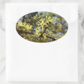 Witch Hazel Flowers Ovale Sticker (Tas)