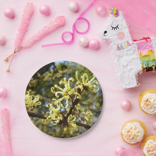 Witch Hazel Flowers Papieren Bordje (Feest)