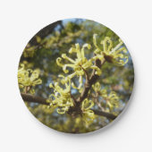 Witch Hazel Flowers Papieren Bordje (Voorkant)