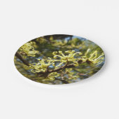 Witch Hazel Flowers Papieren Bordje (Gekanteld)