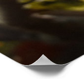 Witch Hazel Flowers Poster (Hoek)