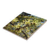 Witch Hazel Flowers Tegeltje (Zijkant)