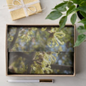 Witch Hazel Flowers Tissuepapier (Geschenk)