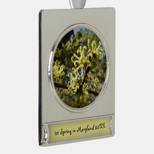 Witch Hazel Flowers Verzilverd Banner Ornament (Rechts)