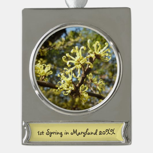 Witch Hazel Flowers Verzilverd Banner Ornament (Voorkant)