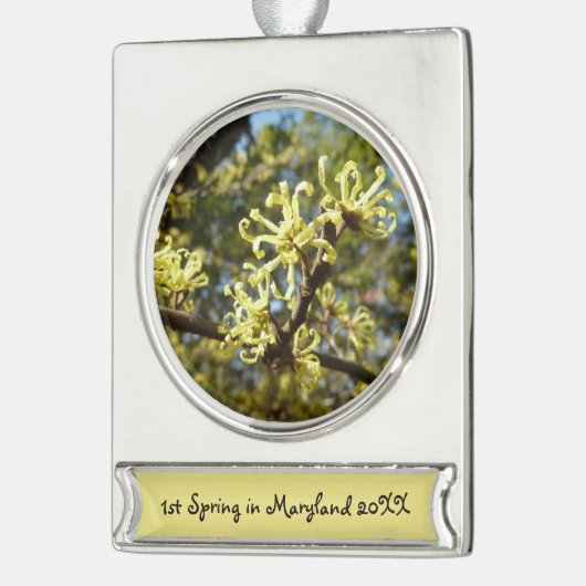 Witch Hazel Flowers Verzilverd Banner Ornament (Links)