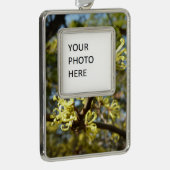 Witch Hazel Flowers Verzilverd Omlijst Ornament (Rechts)