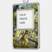 Witch Hazel Flowers Verzilverd Omlijst Ornament (Links)