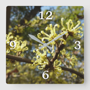 Witch Hazel Flowers Vierkante Klok