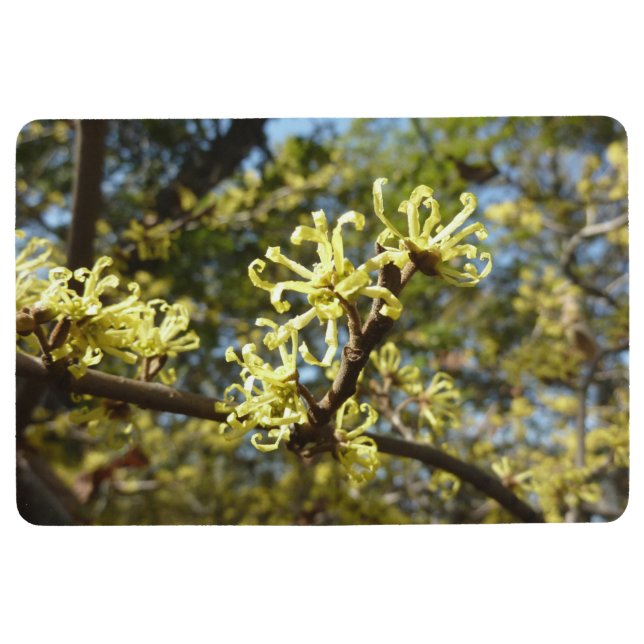 Witch Hazel Flowers Vloermat (Voorkant)