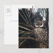 Witch in Owl Form Briefkaart (Voorkant / Achterkant)
