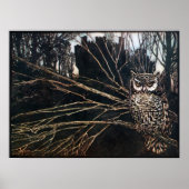 Witch in Owl Form Poster (Voorkant)