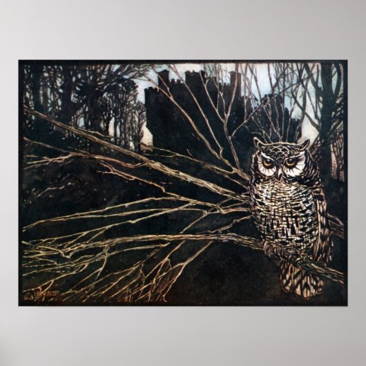 Witch in Owl Form Poster (Voorkant)