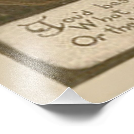 Witch Jack O' Lantern Pumpkin Goblin Foto Afdruk (Hoek)