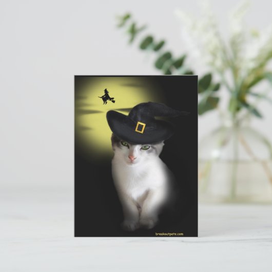 Witch Kitten Briefkaart (Staand voorkant)