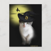 Witch Kitten Briefkaart (Voorkant)