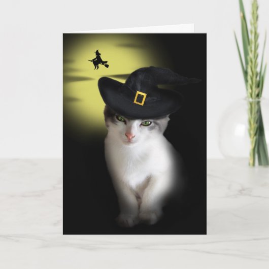 Witch Kitten Wenskaart Kaart (Voorkant)