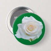 Witch Trial Memorial Button (Voorkant /achterkant)