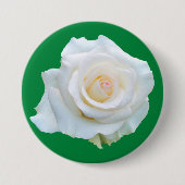 Witch Trial Memorial Button (Voorkant)