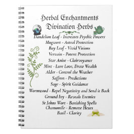 Witchcraft Book of Shadows Journal Notitieboek