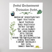 Witchcraft Herbs Psychic Development Spells Poster (Voorkant)