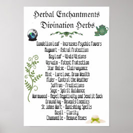 Witchcraft Herbs Psychic Development Spells Poster