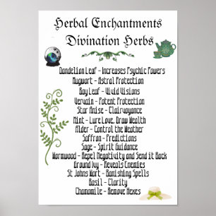Witchcraft Herbs Psychic Development Spells Poster