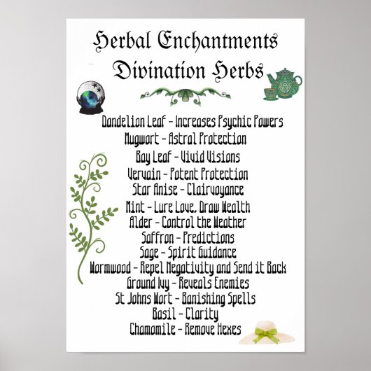 Witchcraft Herbs Psychic Development Spells Poster (Voorkant)