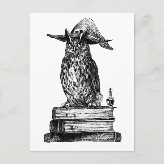 Witchcraft owl Halloween Briefkaart (Voorkant)
