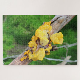 Witches Butter Mycelium Puzzel
