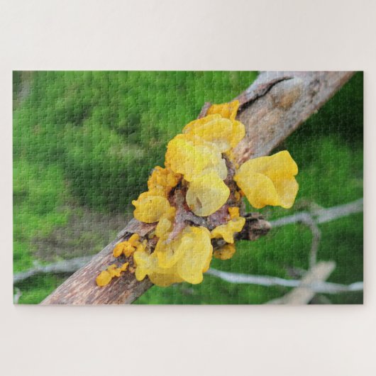 Witches Butter Mycelium Puzzel (Horizontaal)