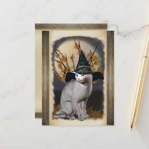 Witches Cat Briefkaart