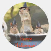 Witchy Chipmunks Stickers (Voorkant)