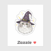 Witchy Perzisch - Fluffy Perzische kat Halloween
