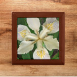 Witeindeloze Iris Bloom Floral Cadeaudoosje<br><div class="desc">Winkelinkten,  sieraden en andere kleine keepenkoeken in deze houten cadeaudoos met keramische tegel die voorzien is van het foto-afbeelding van een mooi,  wit,  vleugje Iris met gele accenten. Een mooi,  bloemetjesontwerp! Selecteer de grootte en kleur van het cadeauvakje.</div>