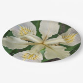 Witeindeloze Iris Bloom Floral Papieren Bordje (Gekanteld)
