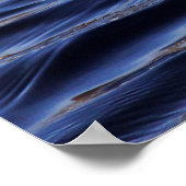 witgans zwemmen op foto blauw water poster (Hoek)