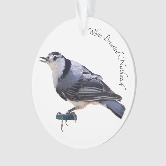Witgebluste Nuthatch Ornament (voorkant)