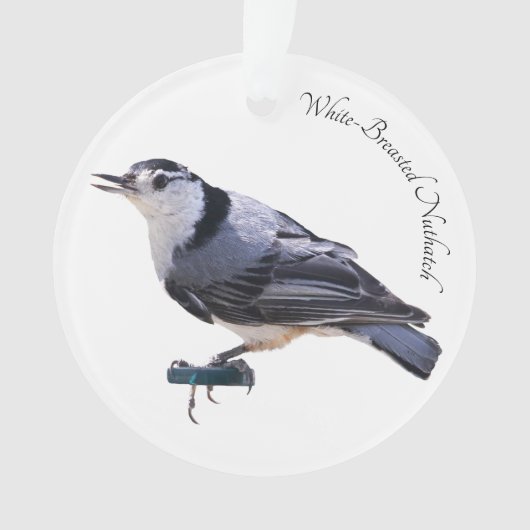 Witgebluste Nuthatch Ornament (voorkant)