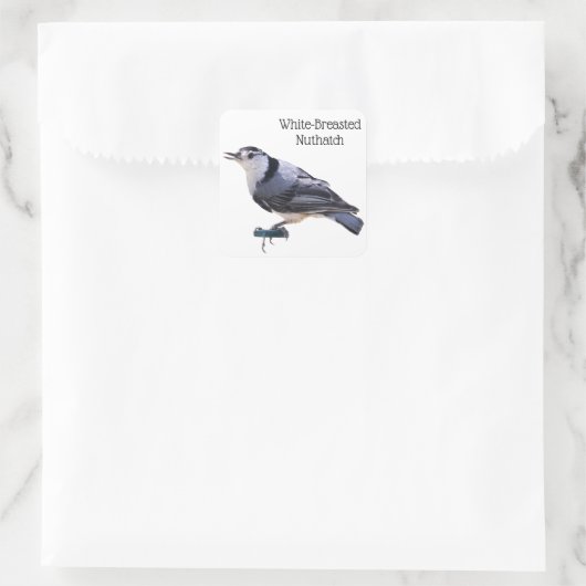 Witgebluste Nuthatch Vierkante Sticker (Tas)
